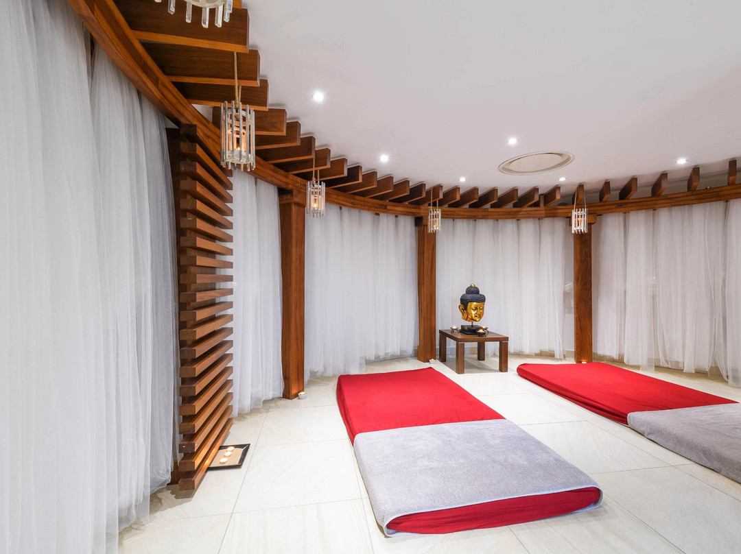 Iris Wellness & Spa景点图片