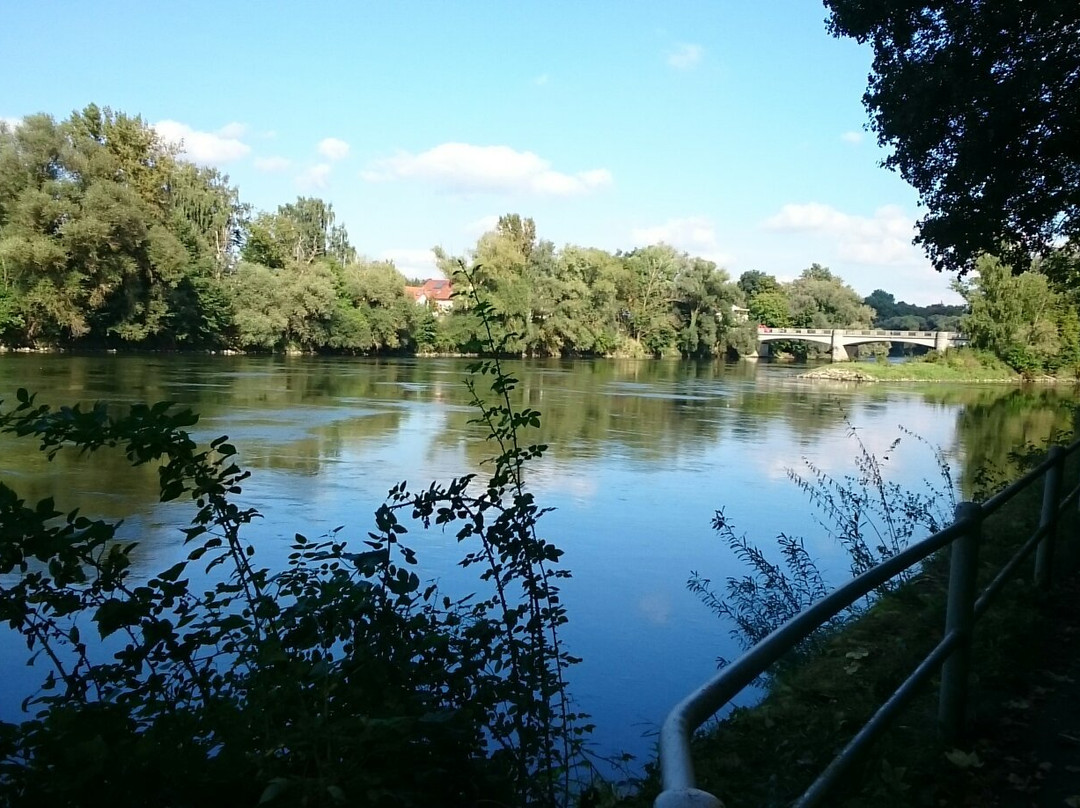 Donaukai景点图片