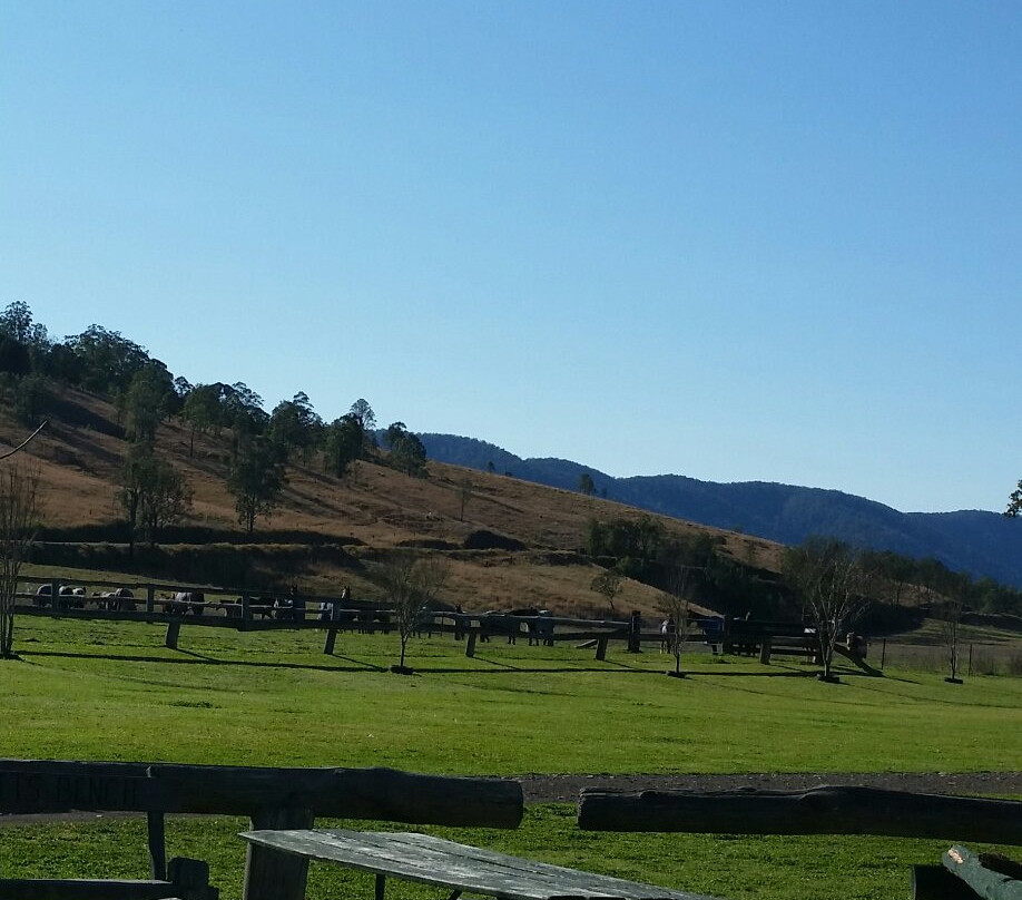 Camp Cobark-Cobark必去景点