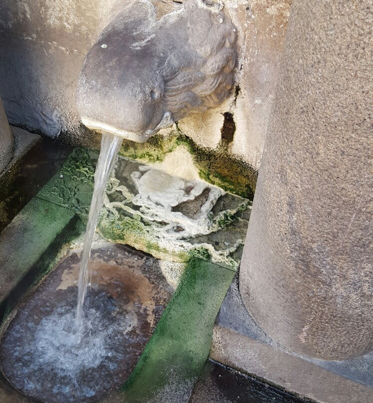 Fuente del Leon-Caldes de Montbui必去景点