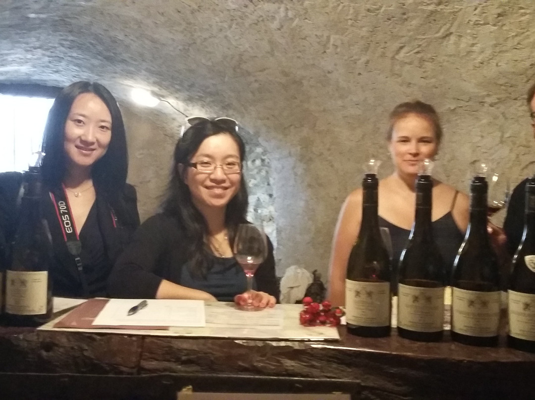 Domaine De La Choupette-Gutrin Fils景点图片