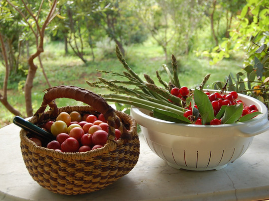 La Capalbiotta主图