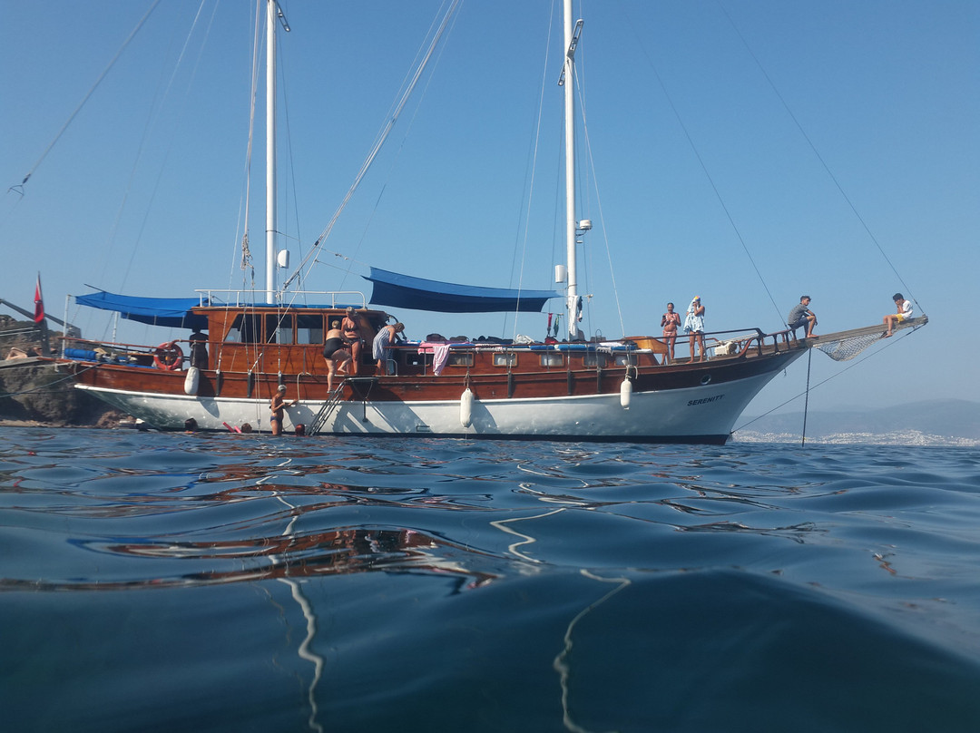 Serenity  Boat Trip景点图片