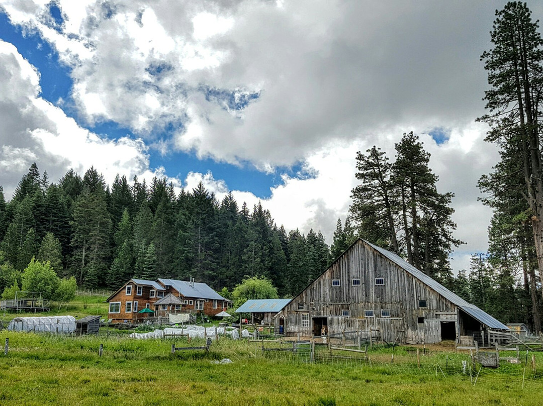Willow-Witt Ranch