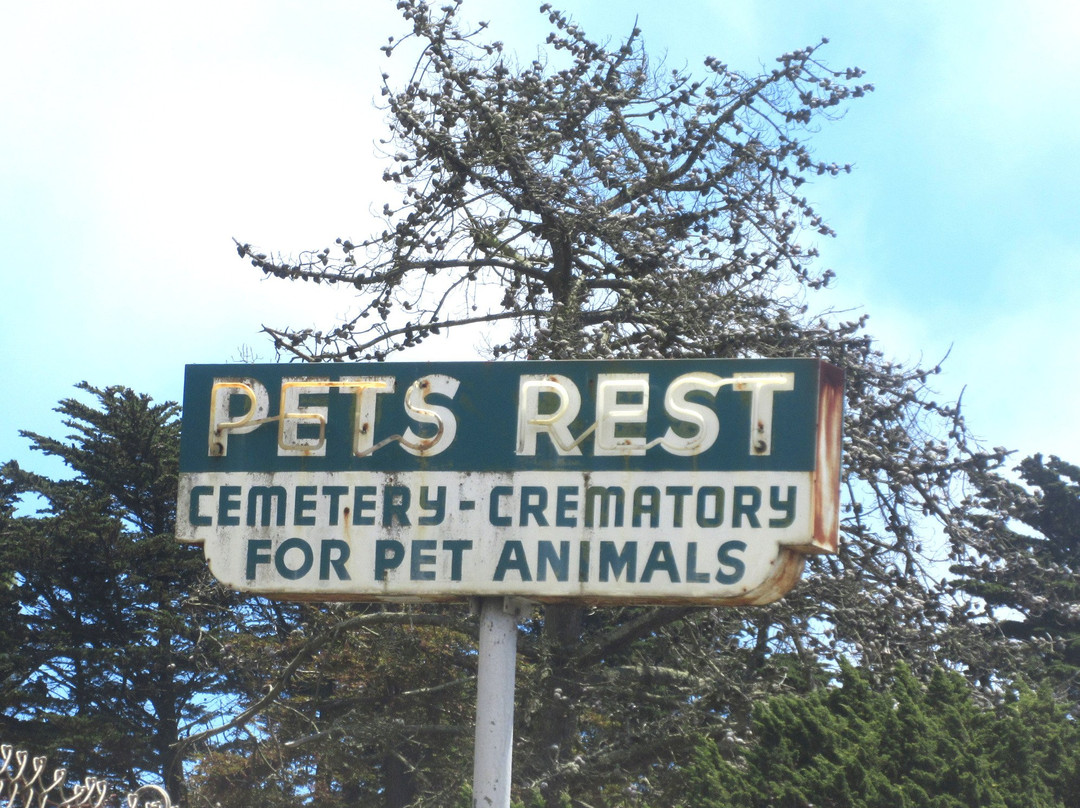 Pet's Rest Cemetery-Colma必去景点