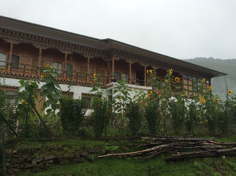 Jyoti Gaon酒店住宿-Trogon Villa