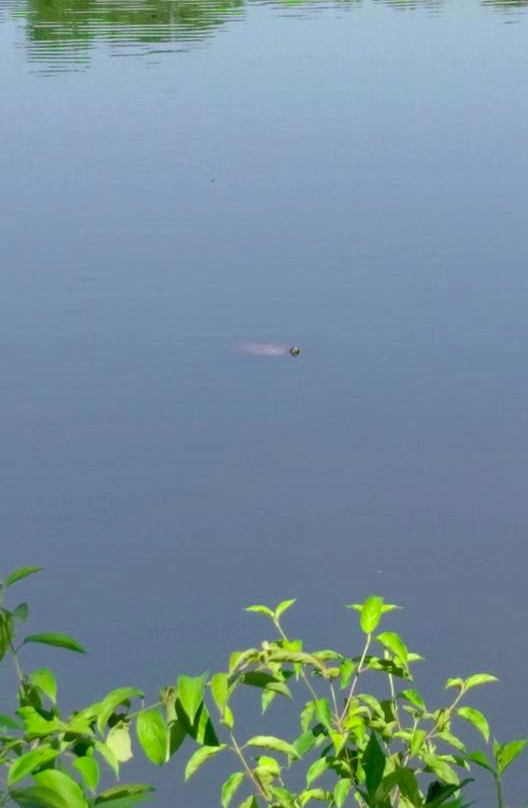 Buddy Attick Park-格林贝尔特必去景点