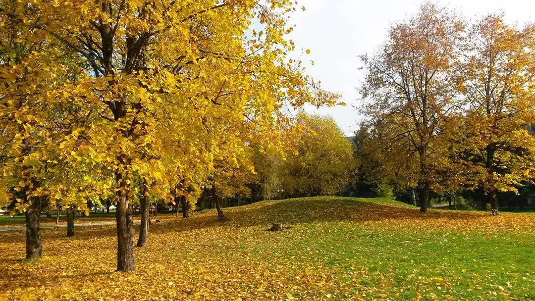 Park Orekhovaya Roshha景点图片