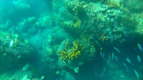 Montserrat Jolly Up Tours-Jolly Harbour必去景点