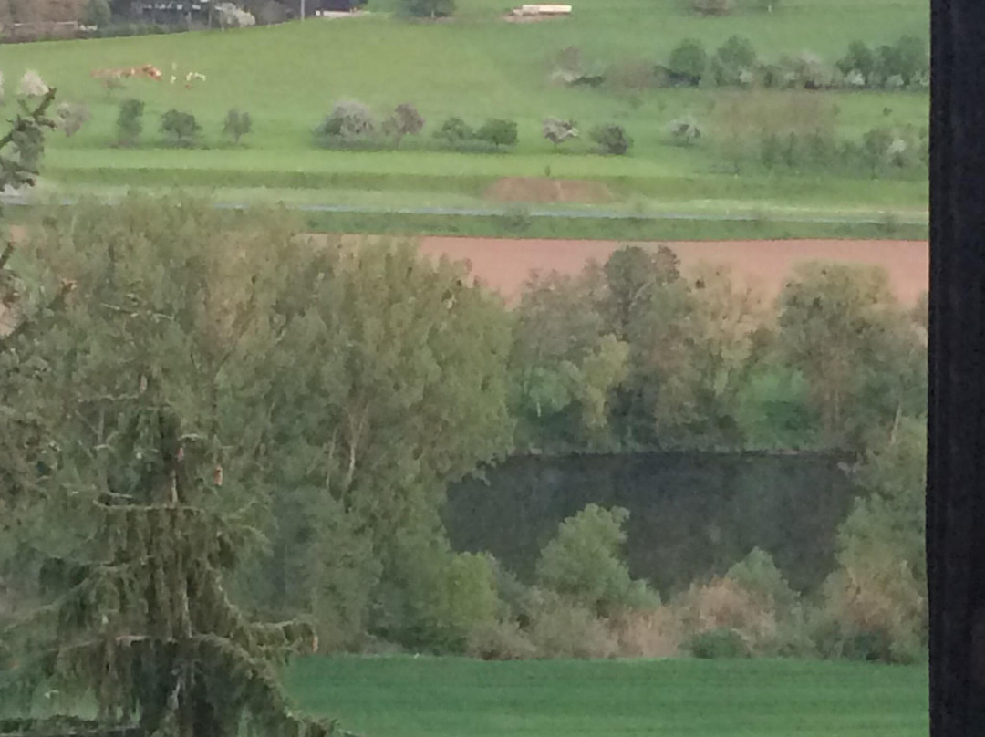 Pension Haus Erika主图