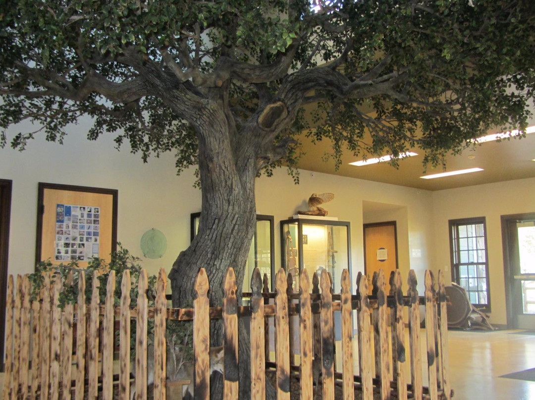 Goodan Ranch Sycamore Canyon Preserve景点图片