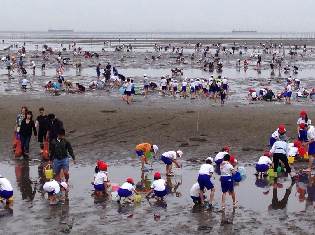 Futtsu Beach-富津市必去景点