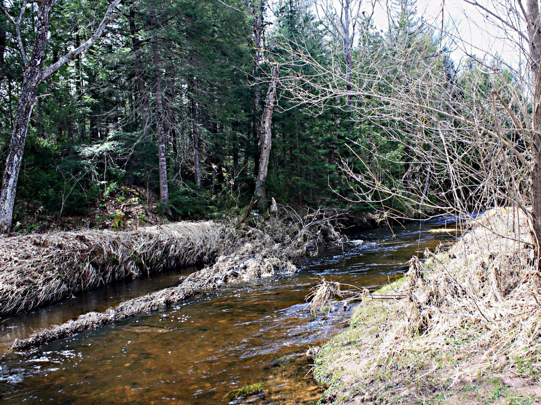 Nara Nature Park-霍顿必去景点