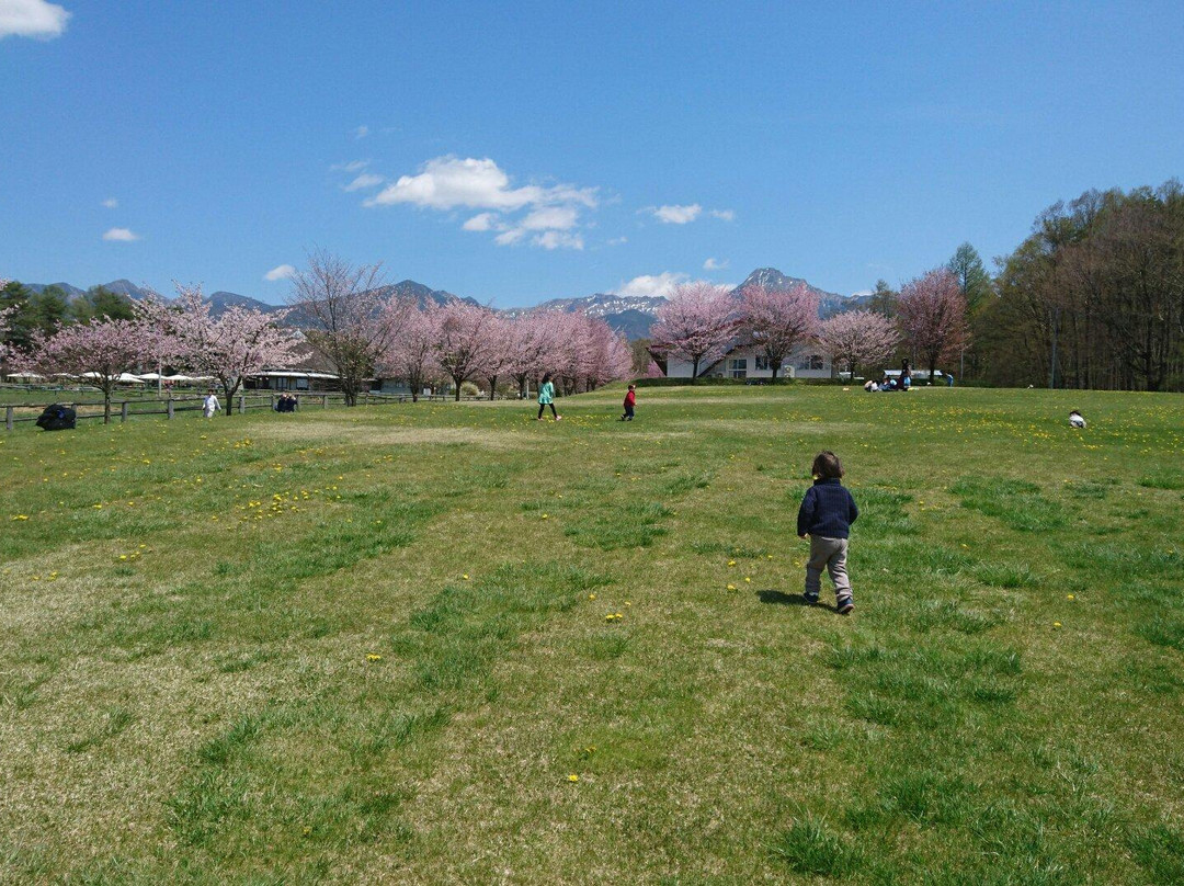 Yatsugatake Farm Stand-原村必去景点