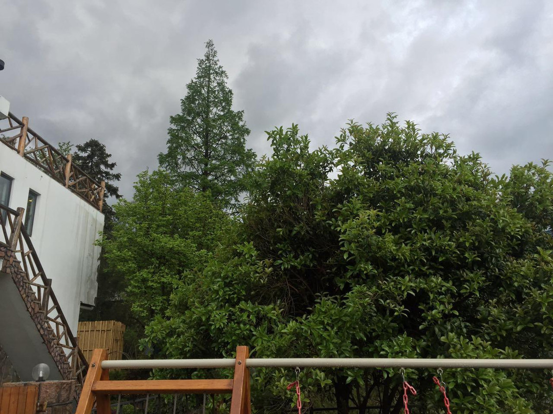 莫干山栖居酒店主图