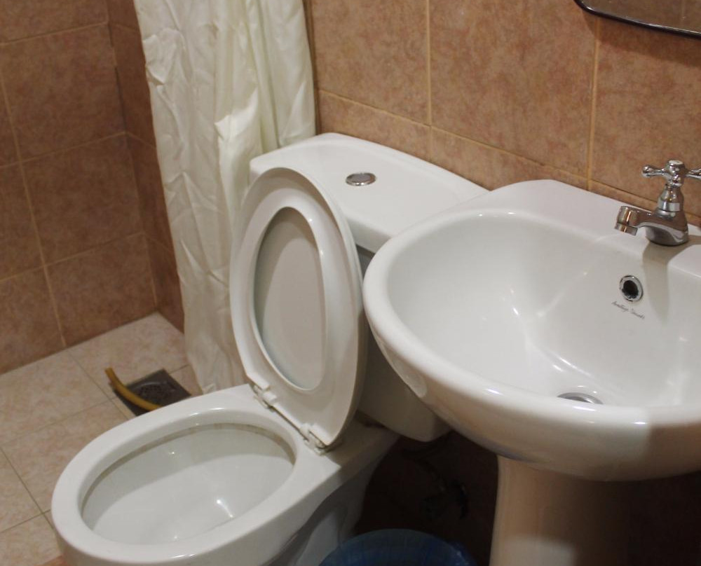 牛顿梳邦酒店主图