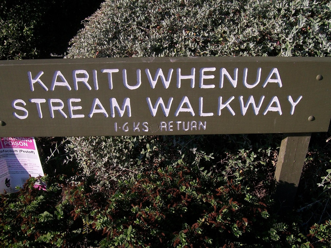 Karituwhenua Stream Walkway景点图片