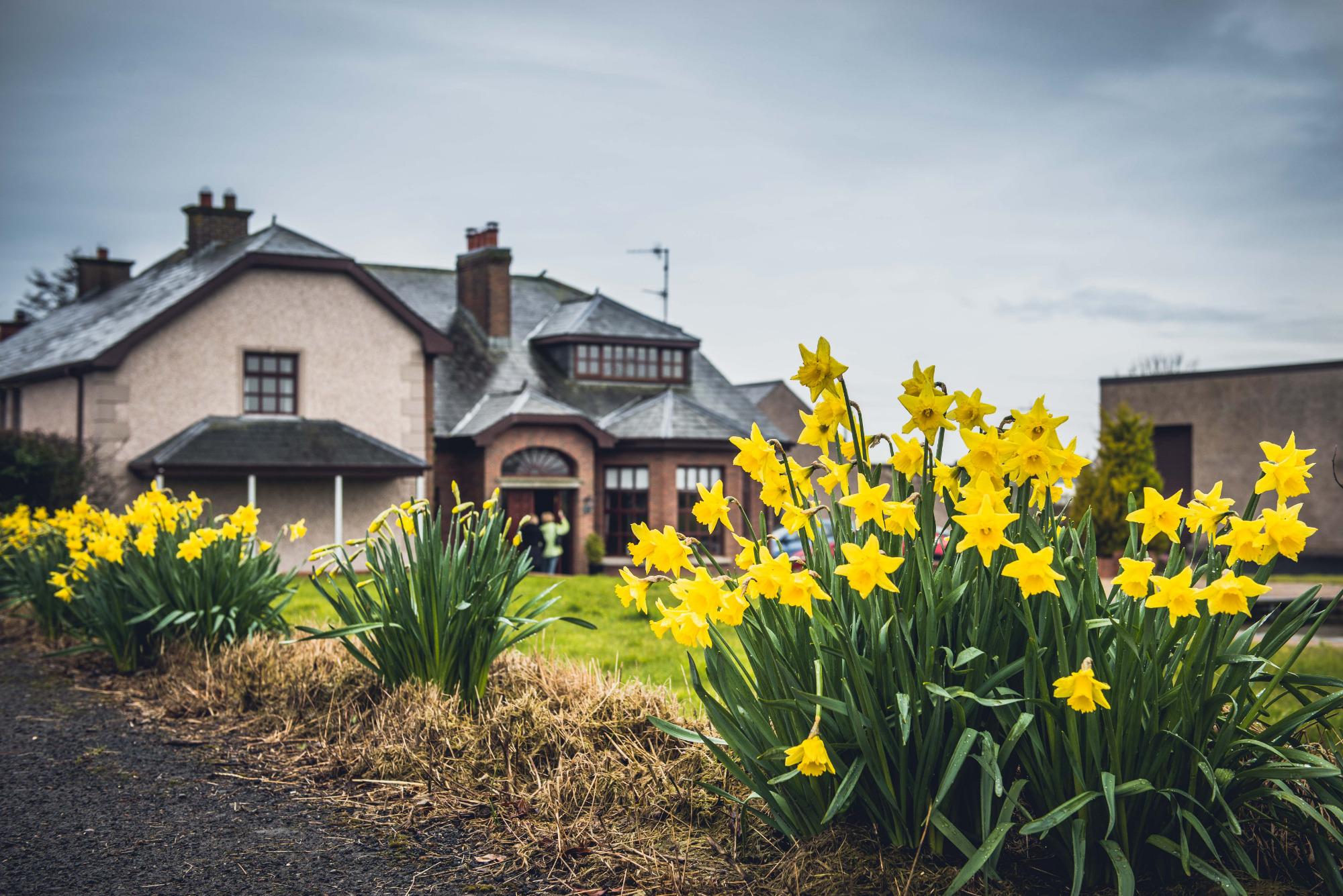 Creeve House Country Guest Inn-浴室