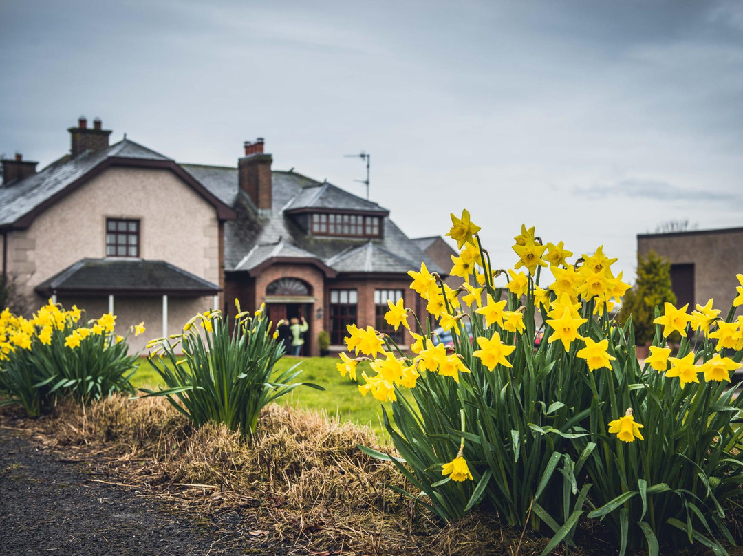 Creeve House Country Guest Inn主图