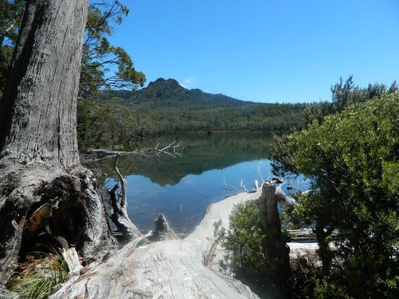 Shadow Lake Circuit Walk景点图片