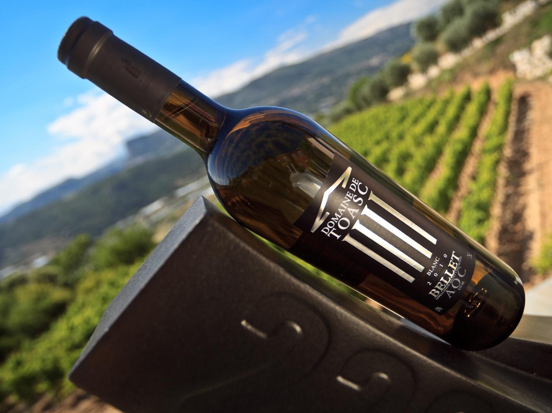 Domaine de Toasc-尼斯必去景点