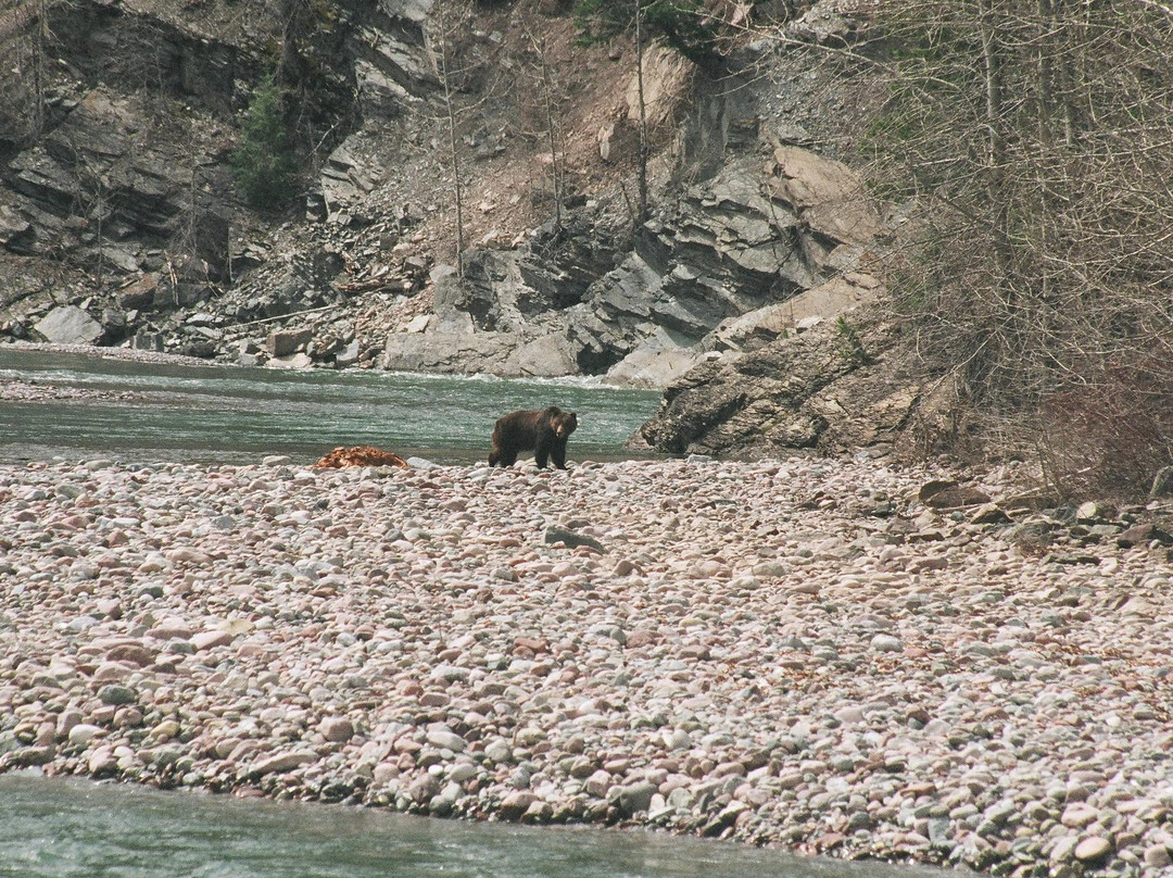 Half Way Hotel主图