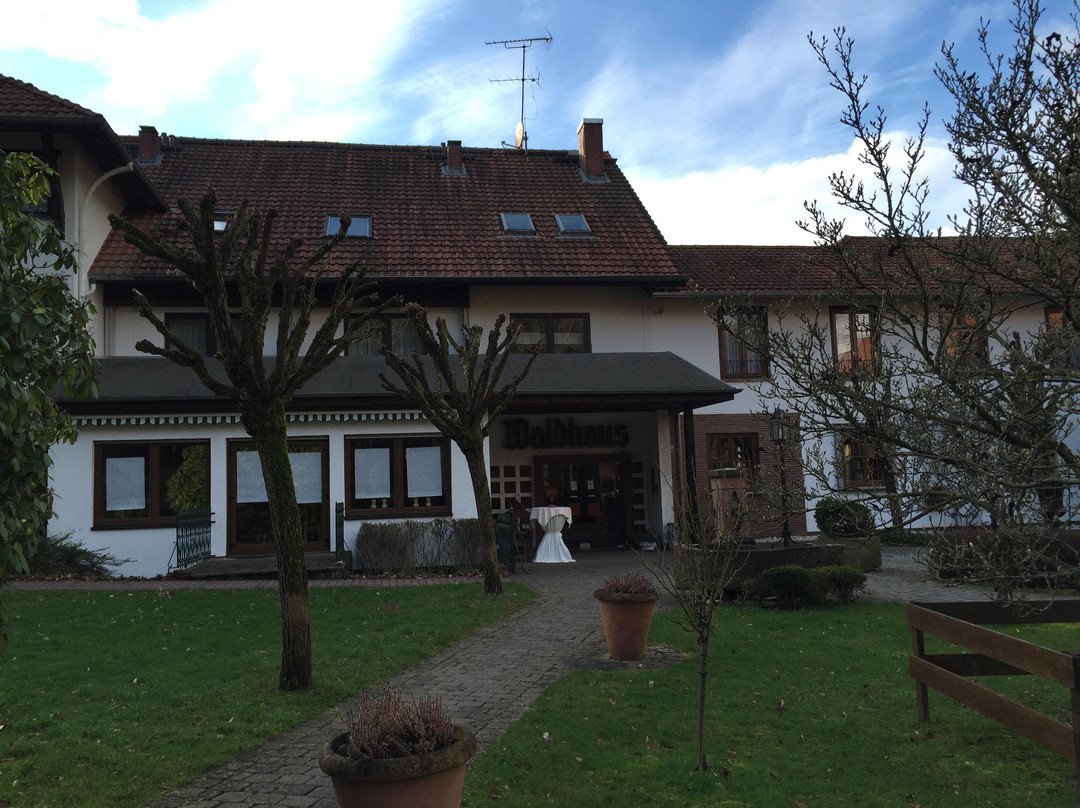 Landhotel Waldhaus主图