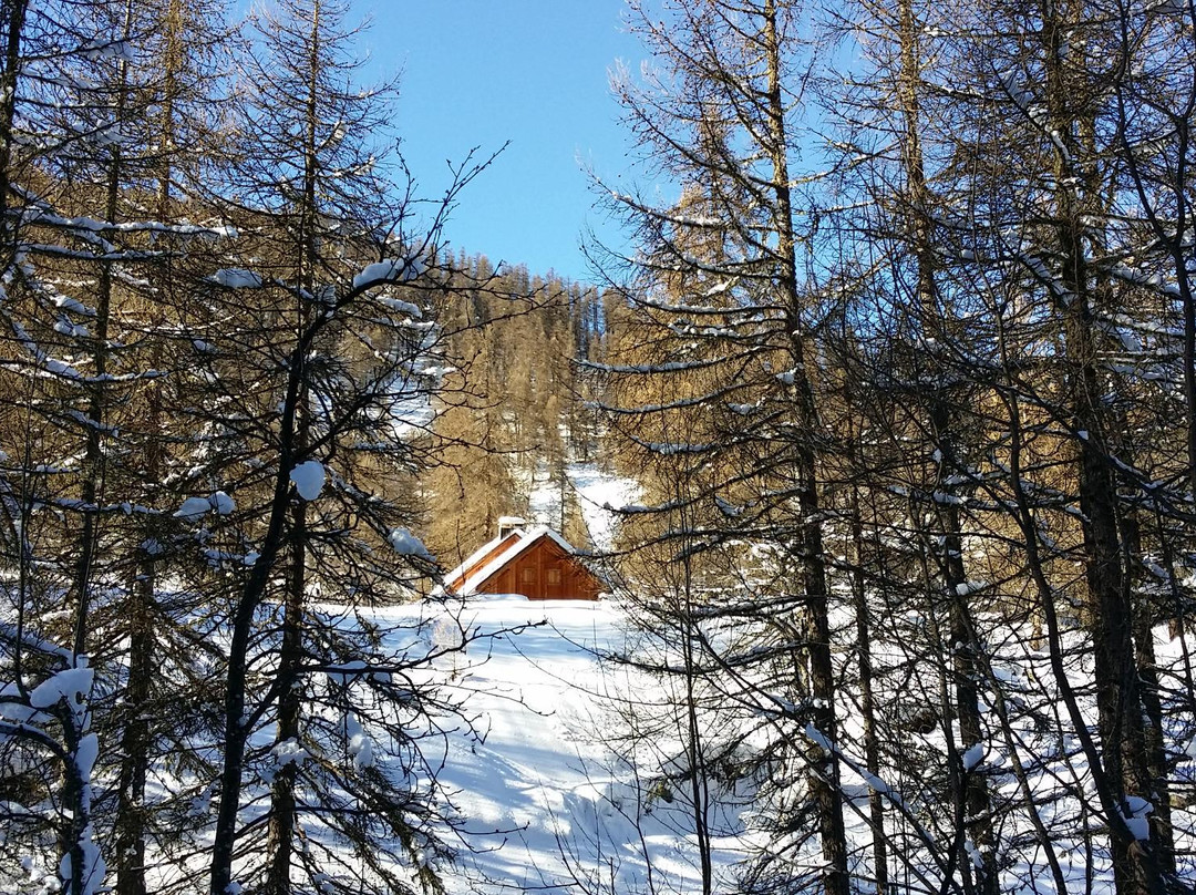 Vallon de Narreyroux景点图片