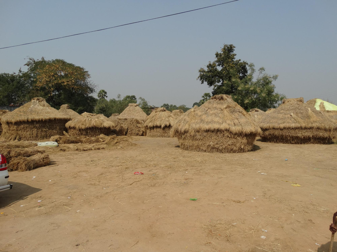Sujatha Temple-菩提伽耶必去景点