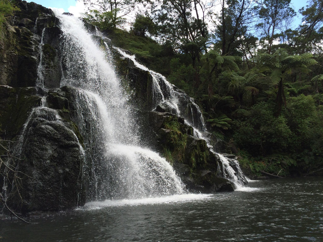 The Falls Retreat