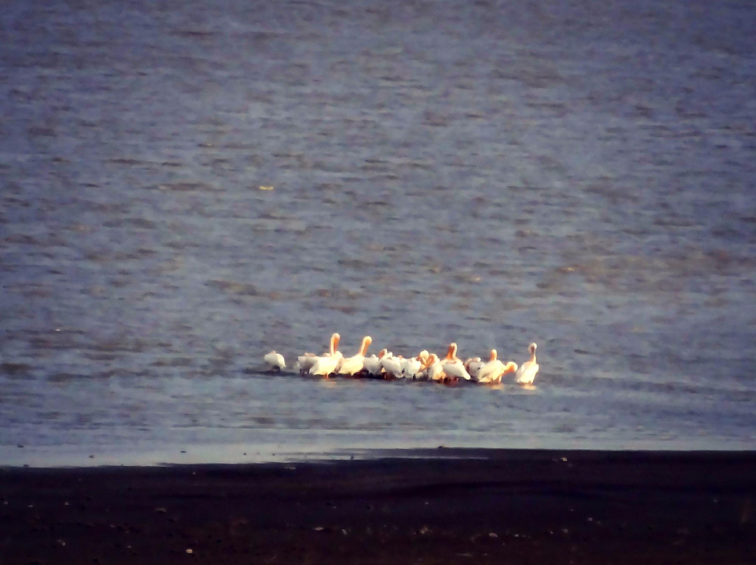 Lake Arpi-Shirak Province必去景点