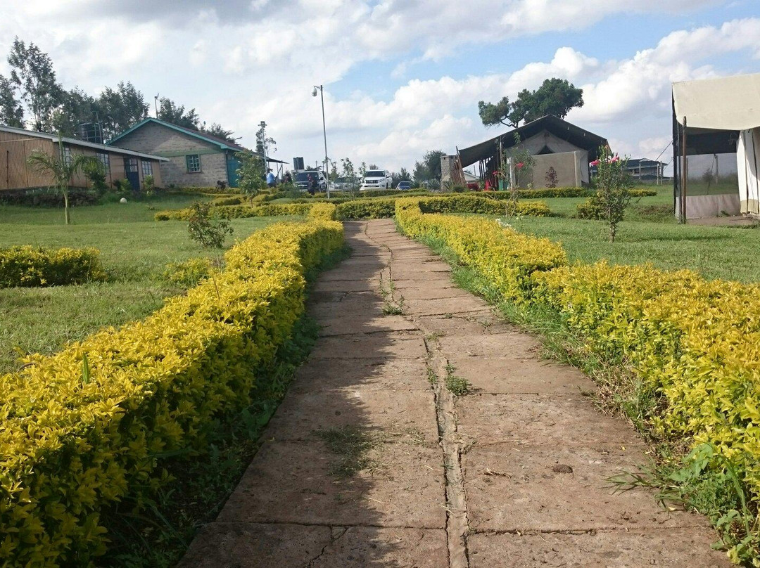 Chemi Chemi Tented Camp