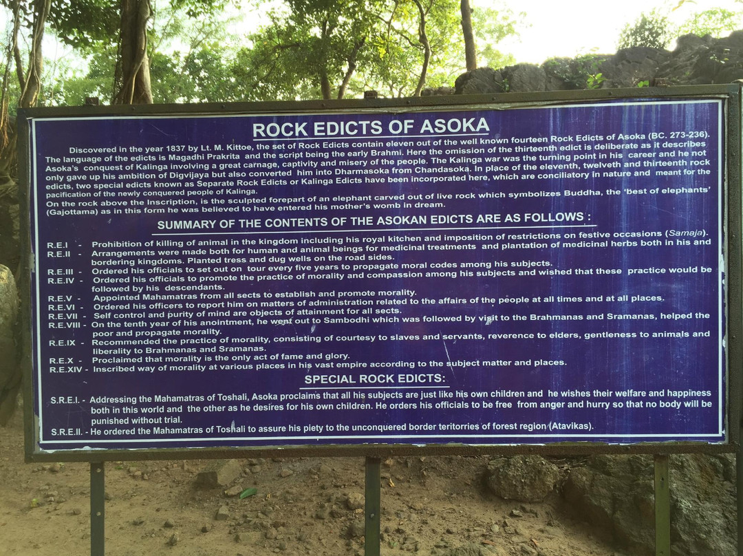 Ashokan Rock Edict景点图片
