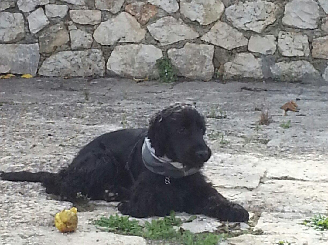 Il Trullo Veltrico主图