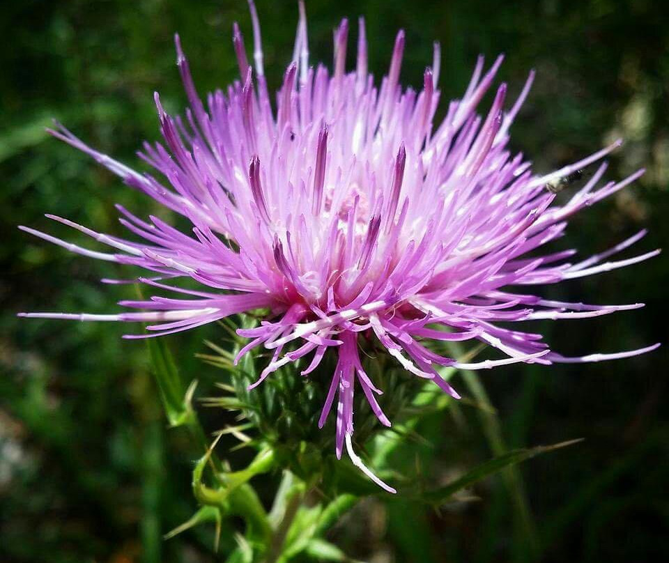 Mount Graham International Observatory-Safford必去景点