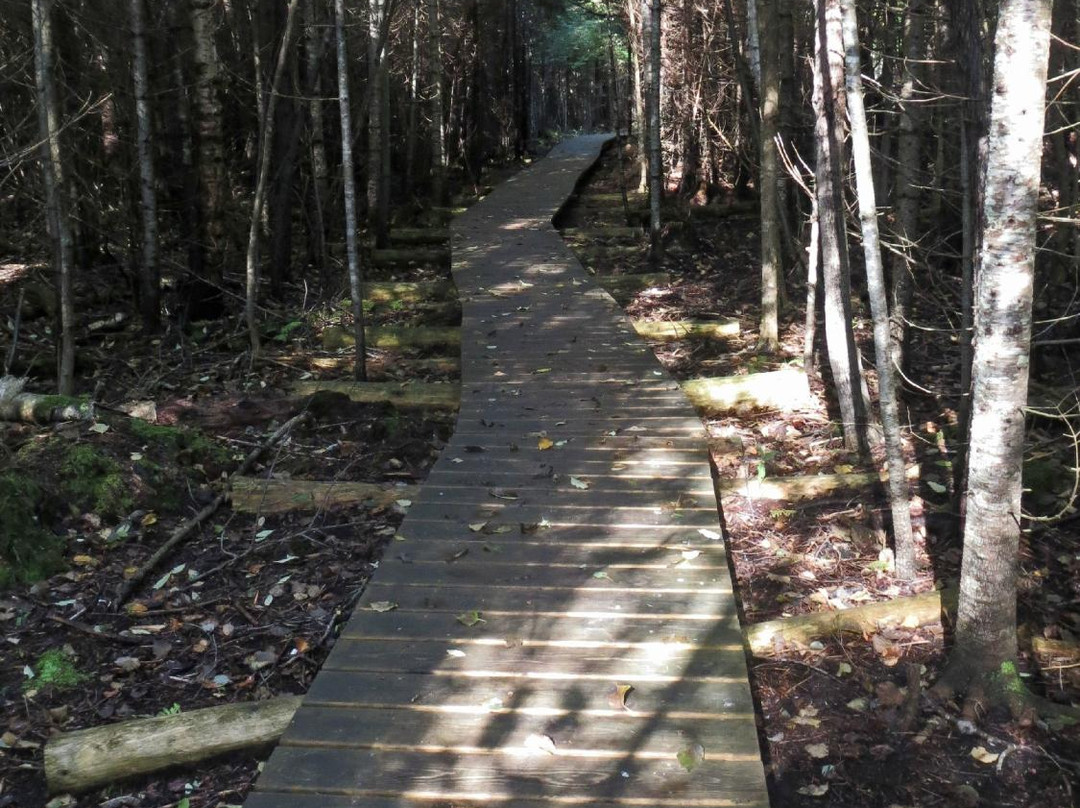 Thorne Swift Nature Preserve-Harbor Springs必去景点