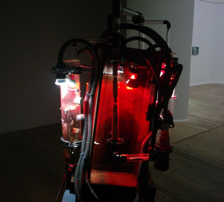 Kunsthal Aarhus-欧胡斯必去景点