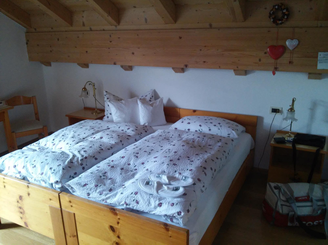 Molina di Fiemme酒店住宿-B&B Casa Riz