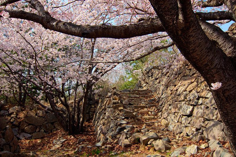 Seosaengpo Japanese Fortress-蔚山必去景点