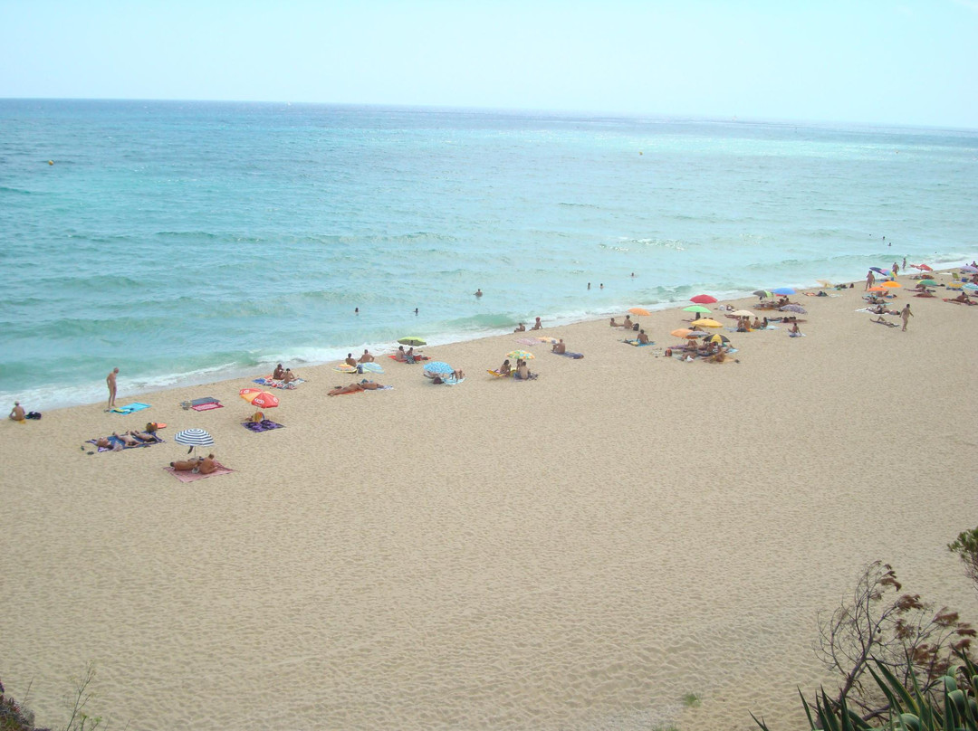 Platja de La Musclera-Arenys de Mar必去景点