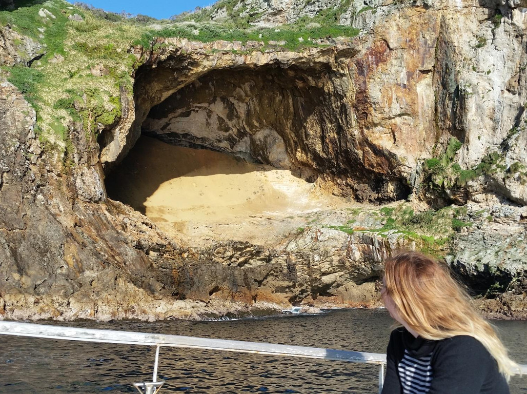 Oceanblue Adventures-Tutukaka必去景点