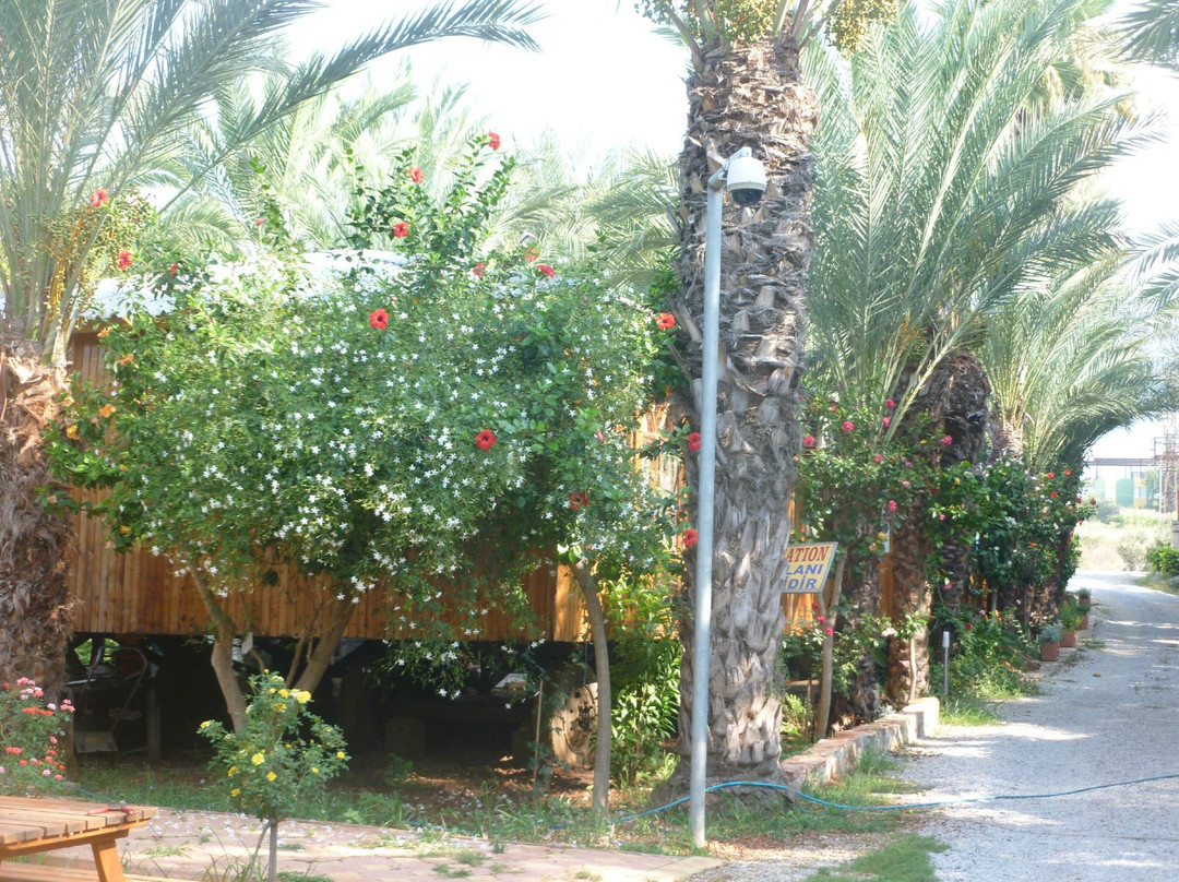 Camping Paradies