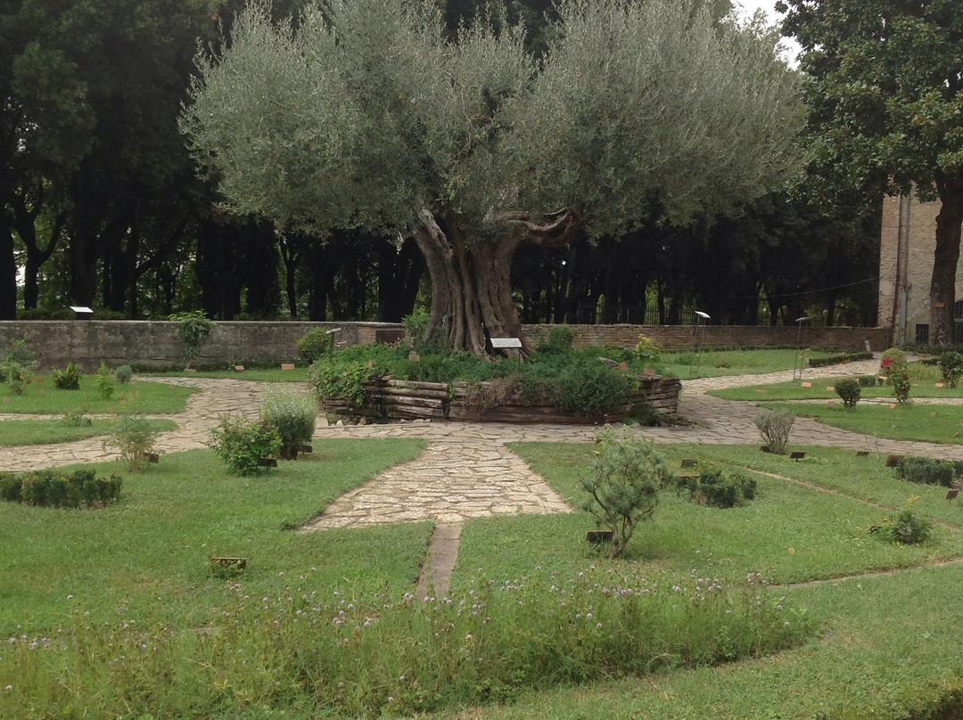 Orto Botanico dell'Universita di Perugia景点图片