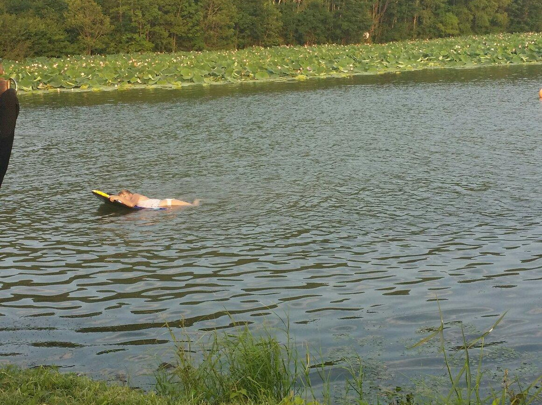 Lotosovoye Lake-乌苏里斯克必去景点