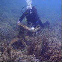 Dive'n Mallorca-Cala Ferrera必去景点