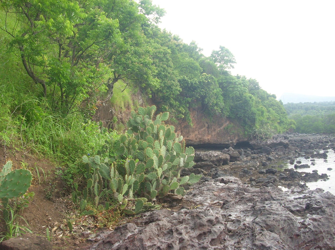 Pantai Tampora-Situbondo必去景点