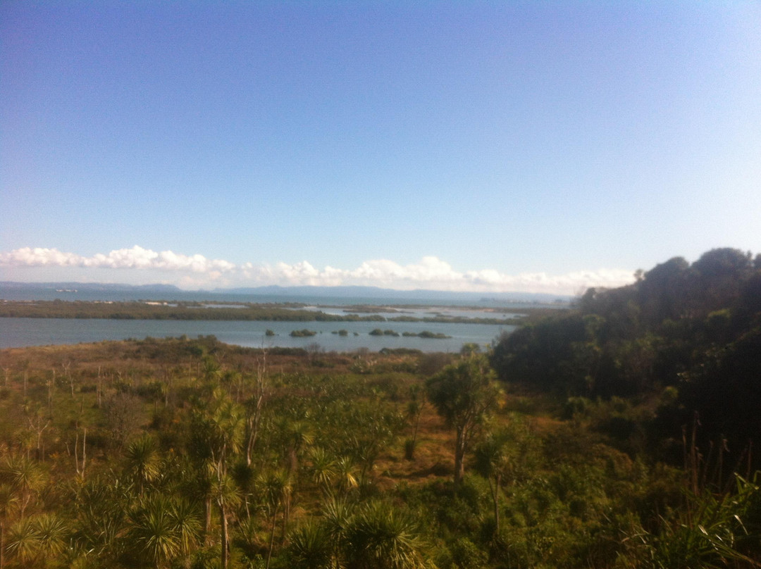 马努雷瓦旅游景点-Weymouth Walkway