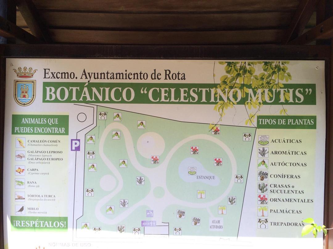 Jardín Botanico Celestino Mutis-罗塔必去景点