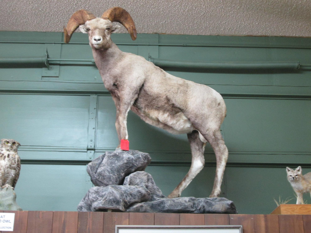 Phillips County Museum-Malta必去景点