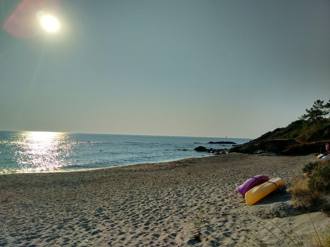 Plage de Bravone-Linguizzetta必去景点